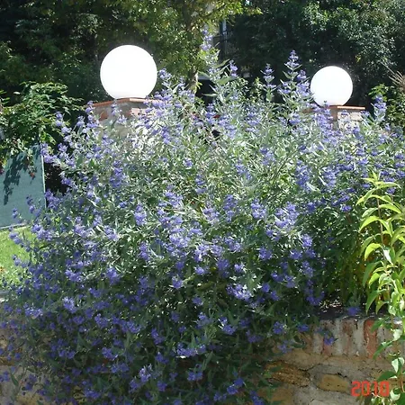 Presshaus Am Lindenberg Holiday home